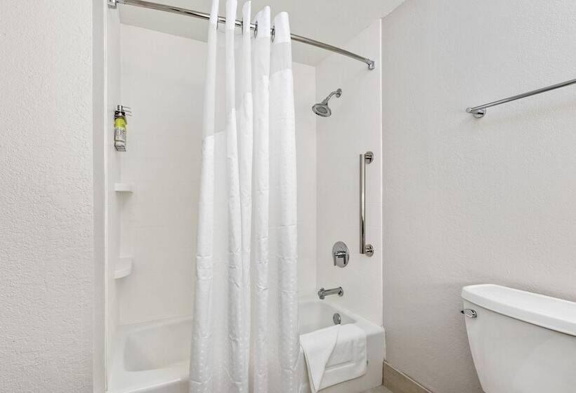 带2个双人床的标准工作室, Holiday Inn Express Harlingen By Ihg