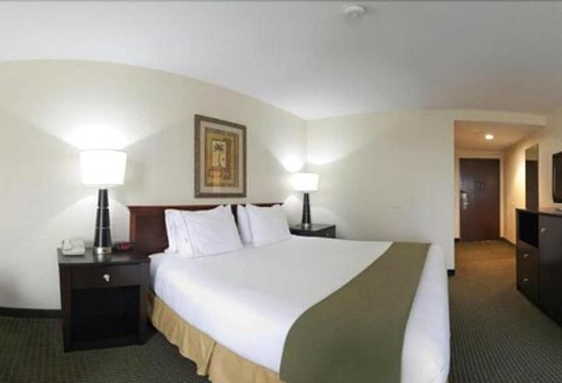 스탠다드 룸, Holiday Inn Express Harlingen By Ihg