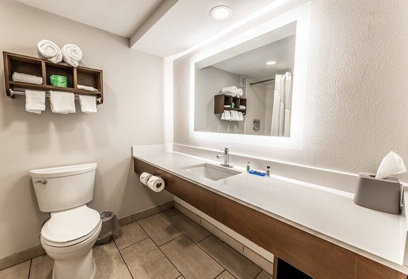 Habitación Estándar 2 Camas Matrimonio, Holiday Inn Express Indianapolis South, An Ihg