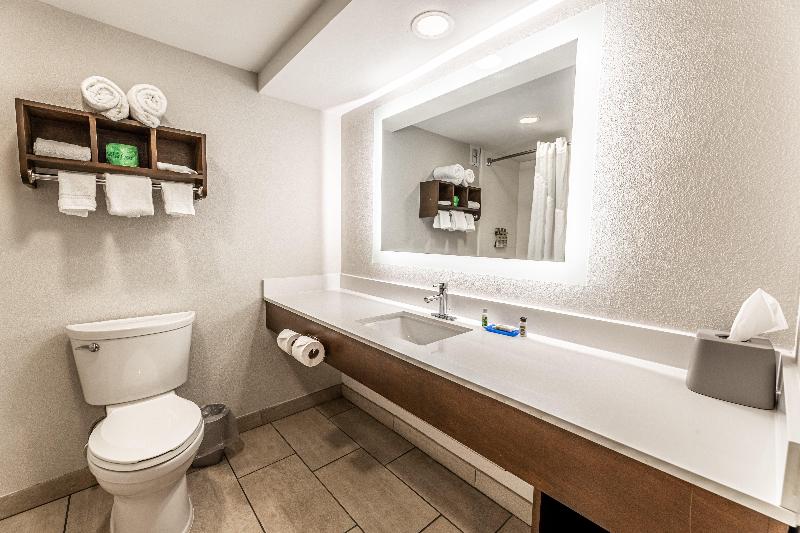 Quarto Estandar Cama King, Holiday Inn Express Indianapolis South, An Ihg