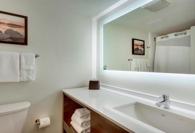 Номер Стандарт Вид на Гольф, Holiday Inn Staunton Conference Center, An Ihg