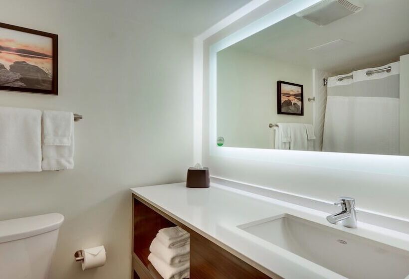 Номер Стандарт, Holiday Inn Staunton Conference Center, An Ihg