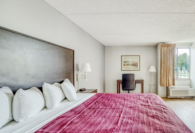 Люкс, OYO Hotel Burlington South