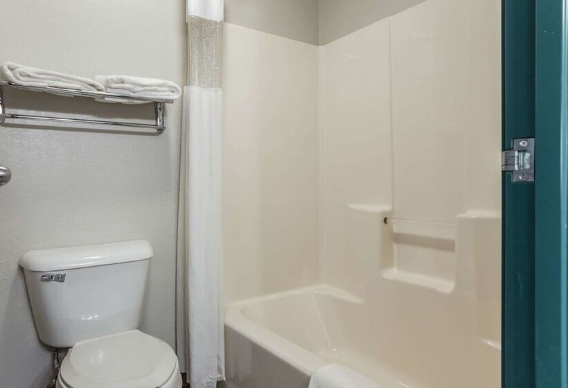 带大床的标准间, Quality Inn