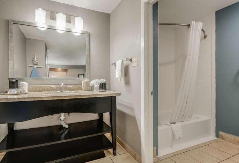 带大床的标准间, Best Western Huntsville