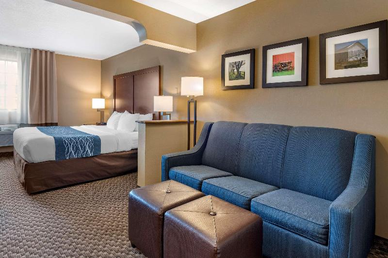 Стандартный Номер Кровать Кинг, Comfort Inn & Suites Napoleon