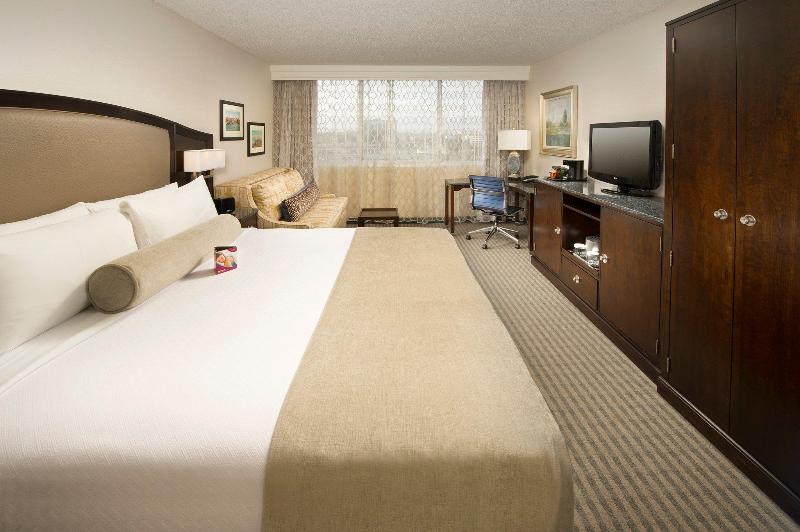 Premium Oda, Skybridge Seattle Airport