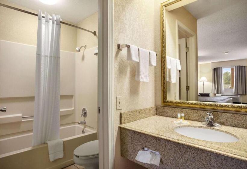 Номер Стандарт, Days Inn & Suites By Wyndham Stuttgart