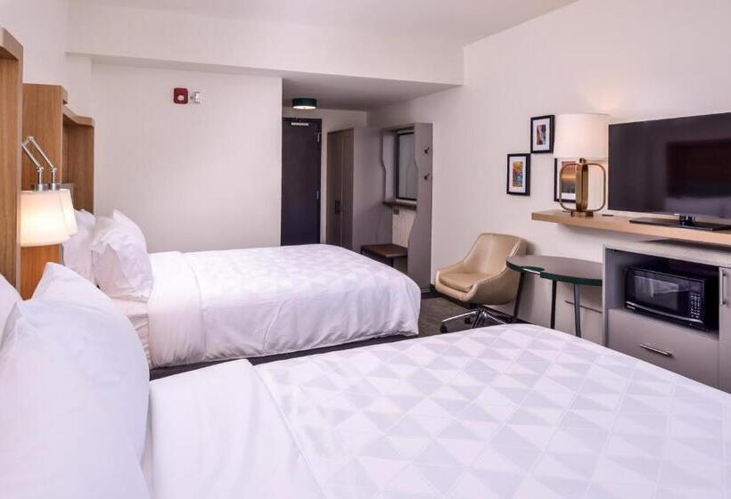 Номер Стандарт Адаптированный для Инвалидов, Holiday Inn Detroit Northwest   Livonia, An Ihg