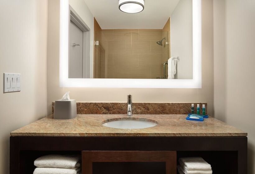 Quarto Estandar, Holiday Inn Express Hotel & Suites Belmont, An Ihg