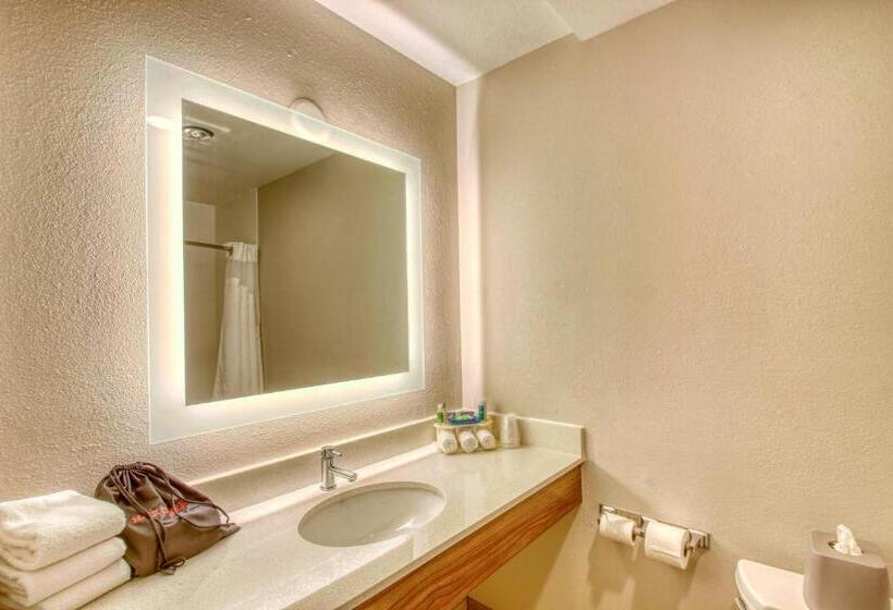 Номер Deluxe, Holiday Inn Express Hotel & Suites Oshkosh   State Route 41, An Ihg