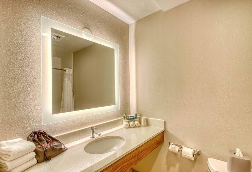 Люкс Адаптированный для Инвалидов, Holiday Inn Express Hotel & Suites Oshkosh   State Route 41, An Ihg