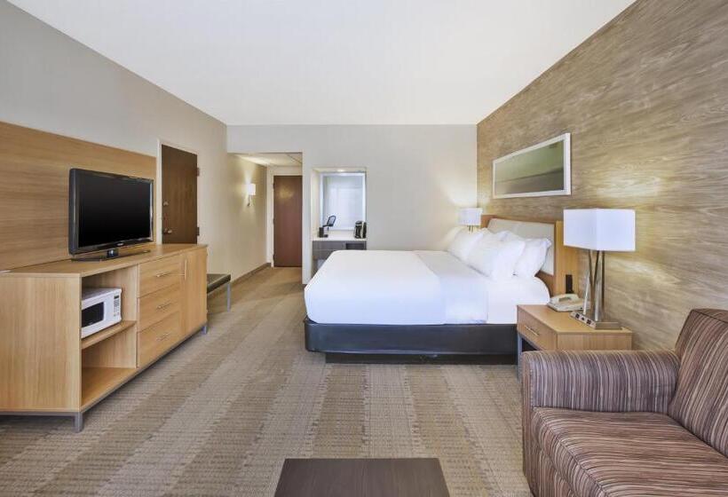 Стандартный Номер Кровать Кинг, Holiday Inn Rapid City   Rushmore Plaza, An Ihg
