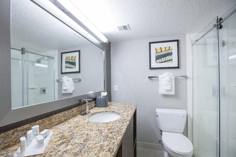 스탠다드 룸, Holiday Inn St Louis Sw   Route 66, An Ihg