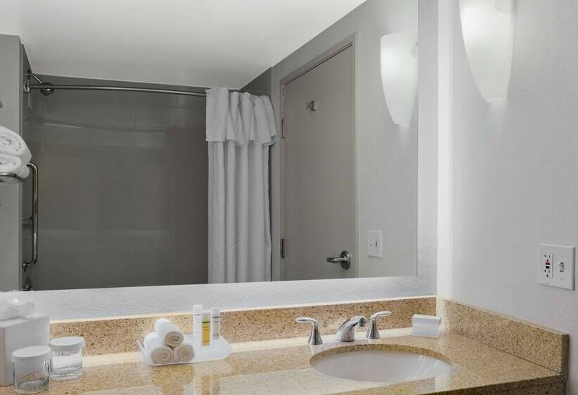带大床的套房, Homewood Suites By Hilton Seattle Downtown