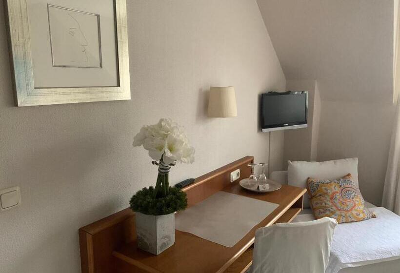 Номер Deluxe Одноместный, Lindenhof