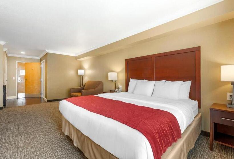带大床的标准间, Comfort Inn Arcata