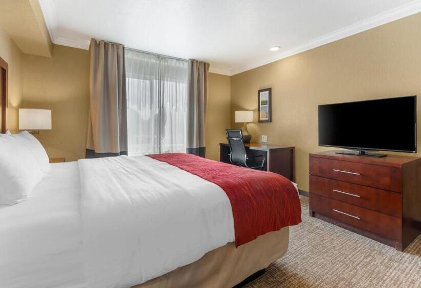 带大床的标准间, Comfort Inn Arcata