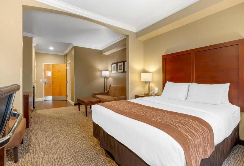 带大床的套房, Comfort Inn Arcata