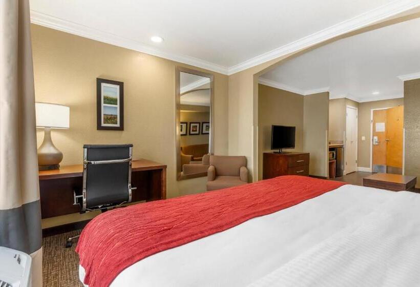 带大床的套房, Comfort Inn Arcata