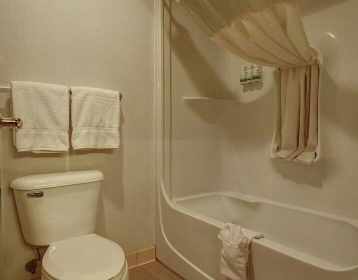 Quarto Estandar 2 Camas Casal, Greentree Inn Albuquerque North I25