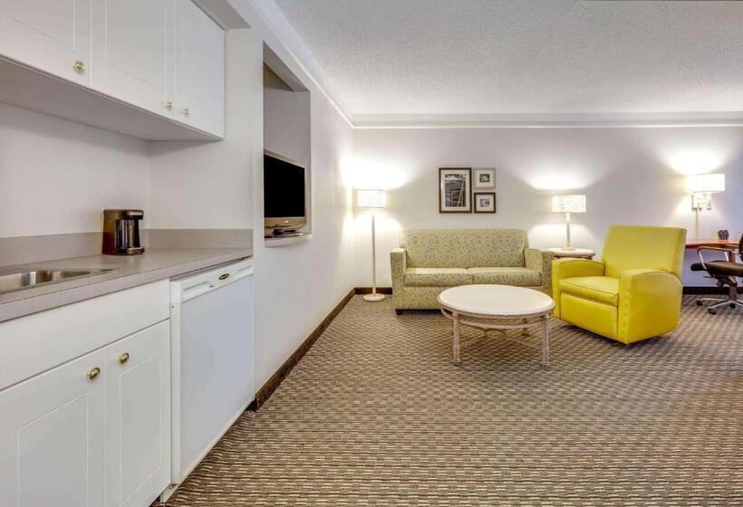 キングサイズベッドのデラックスルーム, La Quinta By Wyndham Dallas   Addison Galleria