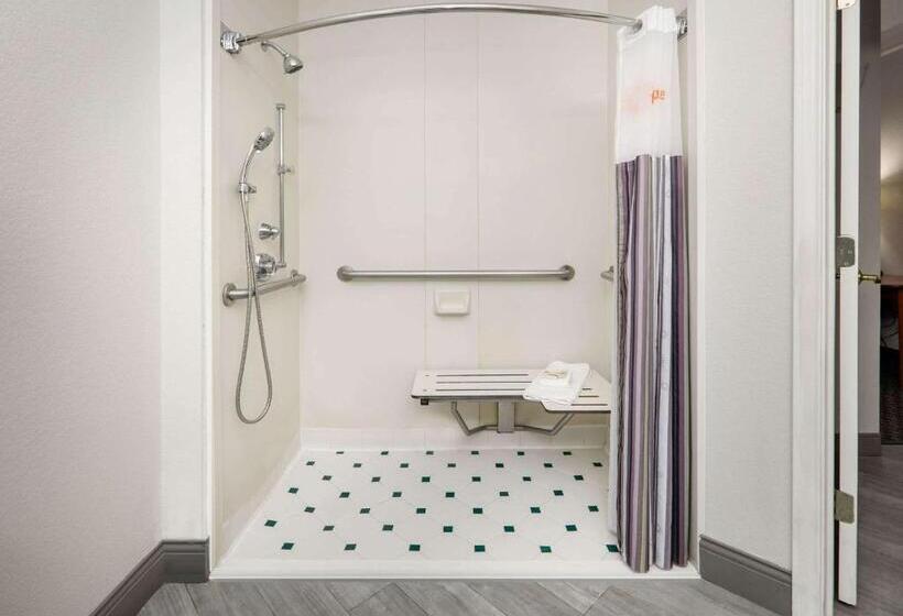 身障者適用キングサイズベッドルーム, La Quinta By Wyndham Dallas   Addison Galleria