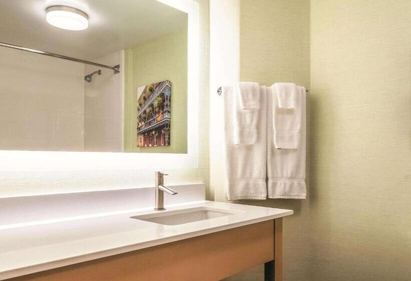 חדר דחוקס עם מיטת קינג, La Quinta By Wyndham New Orleans Downtown