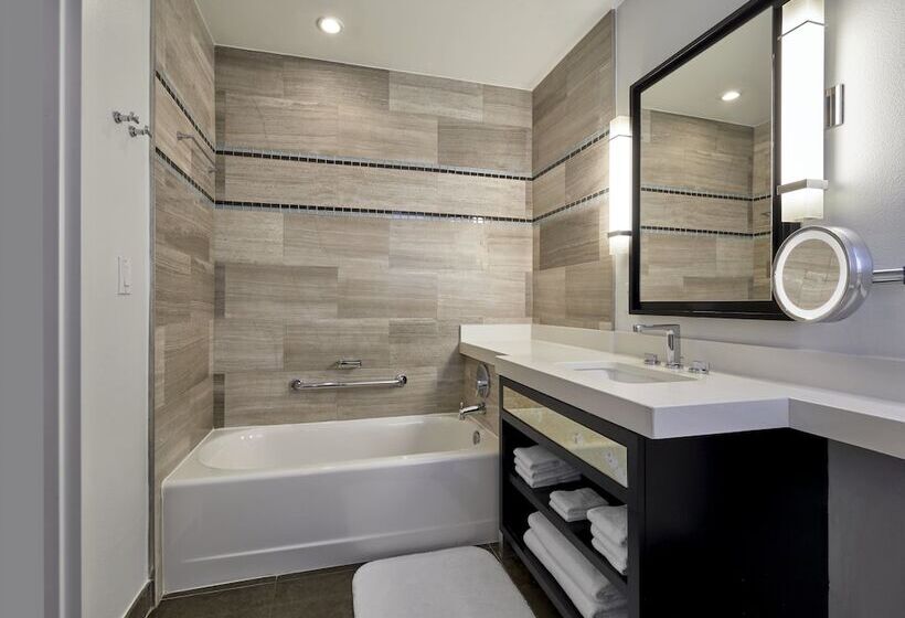 带城市景观的套间, Loews Miami Beach