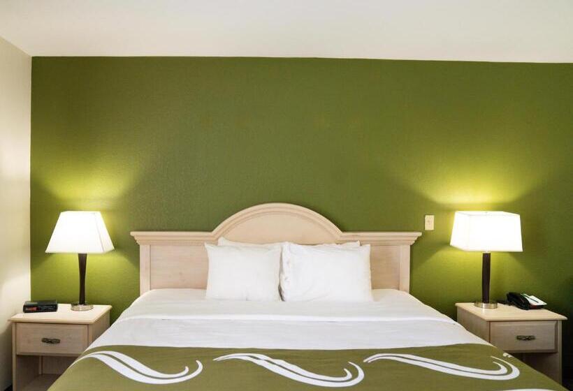 스탠다드 룸 킹사이즈 침대, Quality Inn Seymour I65