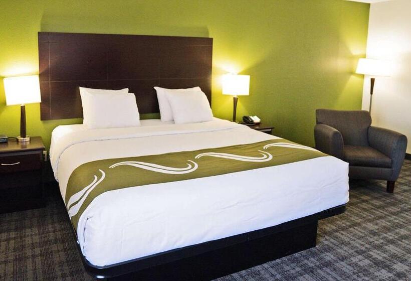 스탠다드 룸 킹사이즈 침대, Quality Inn Seymour I65