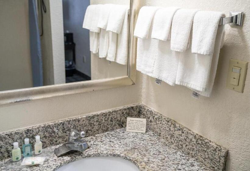 장애인을 위한 스탠다드 룸, Quality Inn Seymour I65