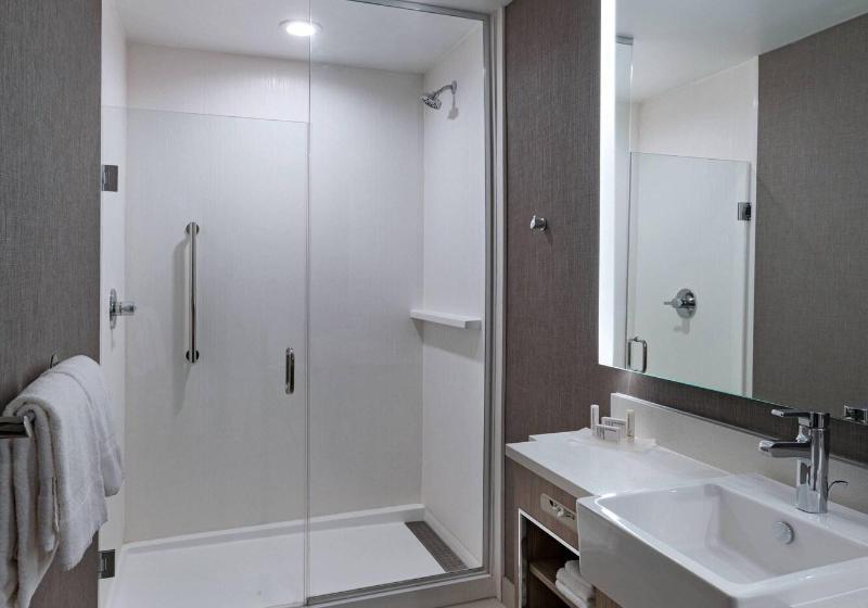 带大床的套房, Springhill Suites Waco