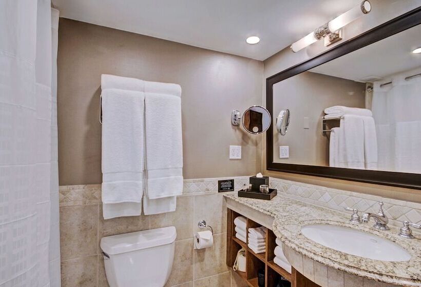 Pokój Deluxe, Lodge At Vail, A Rockresort