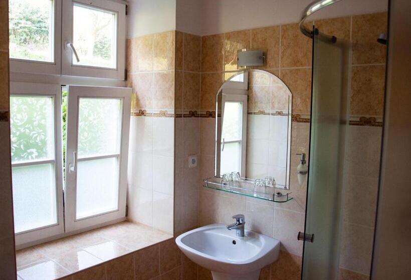 اتاق استاندارد, Penzion Diana