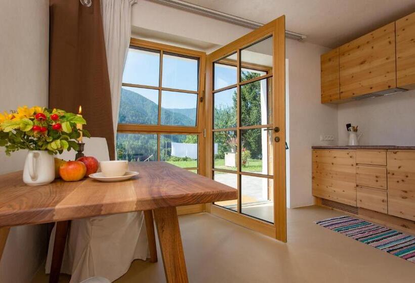 带1个卧室带观景的公寓, Villa Messner