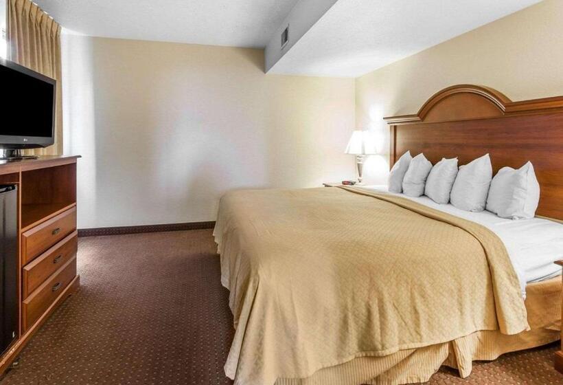 带大床的套房, Quality Inn & Suites At Dollywood Lane