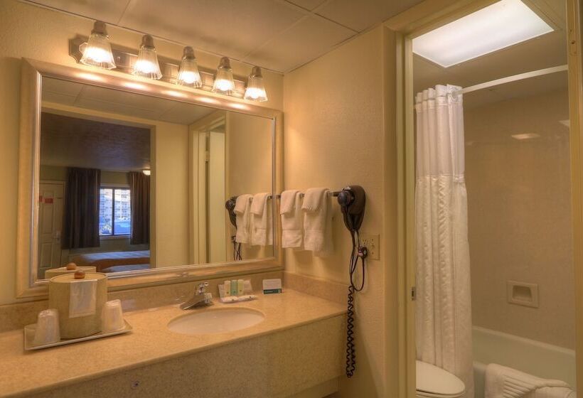 套房, Quality Inn & Suites At Dollywood Lane