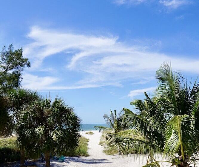 سوئیت با چشم‌انداز, The Molloy   Treasure Island Suites & Cottages