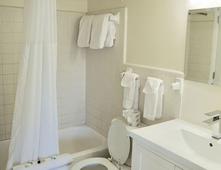 سوئیت 2 خوابه, The Molloy   Treasure Island Suites & Cottages