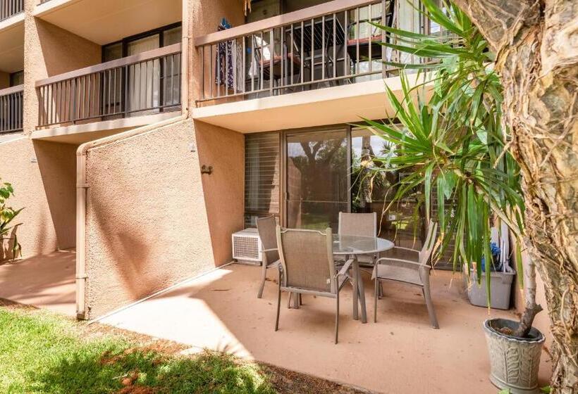 آپارتمان 1 خوابه با بالکن, Maui Vista