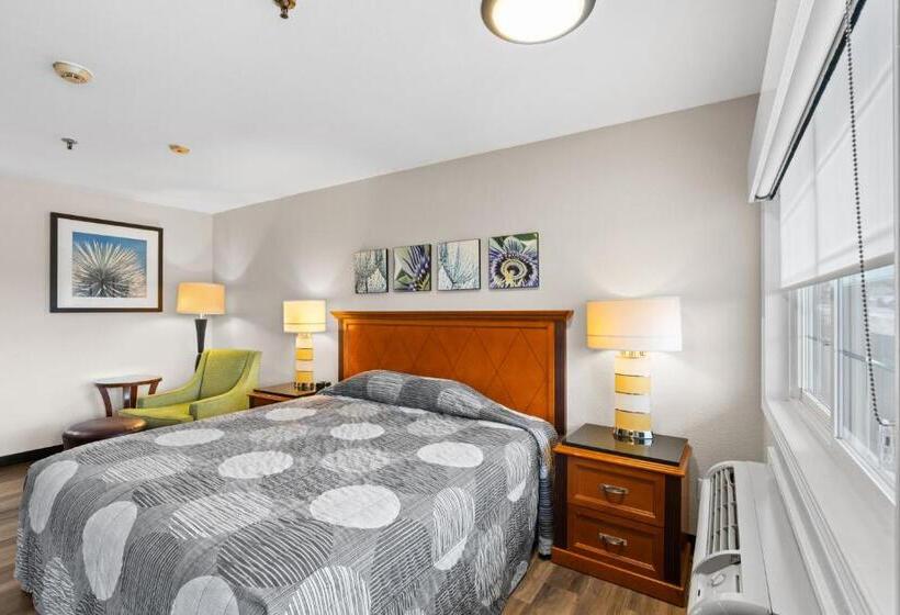 스탠다드 룸 킹사이즈 침대, Basecamp Puyallup A Travelodge By Wyndham