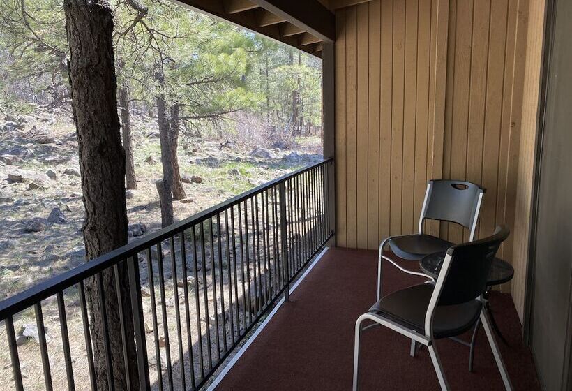 Номер Deluxe, Motel In The Pines