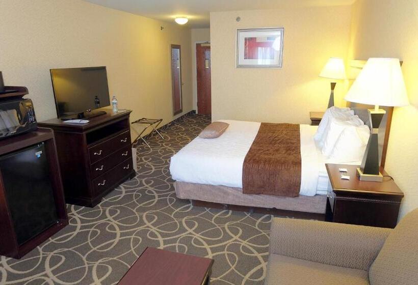 Номер Стандарт Кровать Кинг Адаптированный для Инвалидов, Best Western Plus Eau Claire Conference Center
