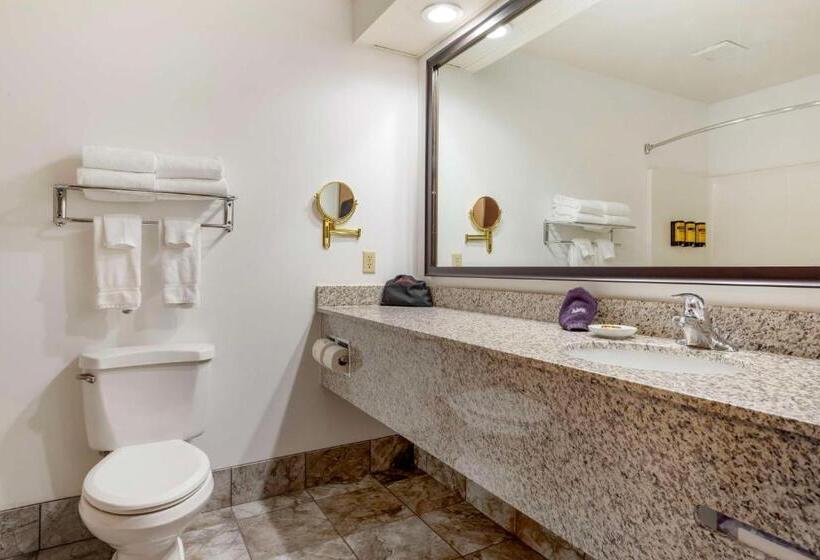 Номер Стандарт Кровать Кинг Адаптированный для Инвалидов, Best Western Plus Eau Claire Conference Center