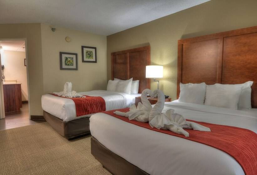 带2个双人床的标准工作室, Comfort Inn & Suites At Dollywood Lane