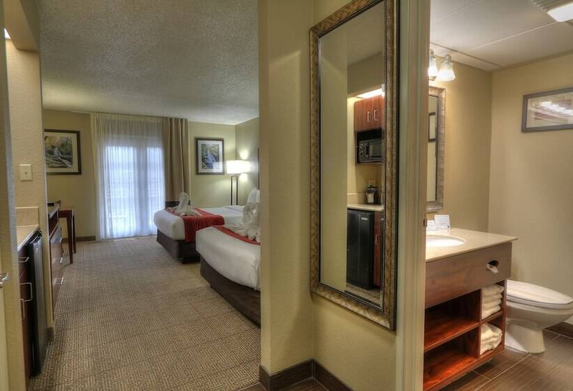 带2个双人床的标准工作室, Comfort Inn & Suites At Dollywood Lane