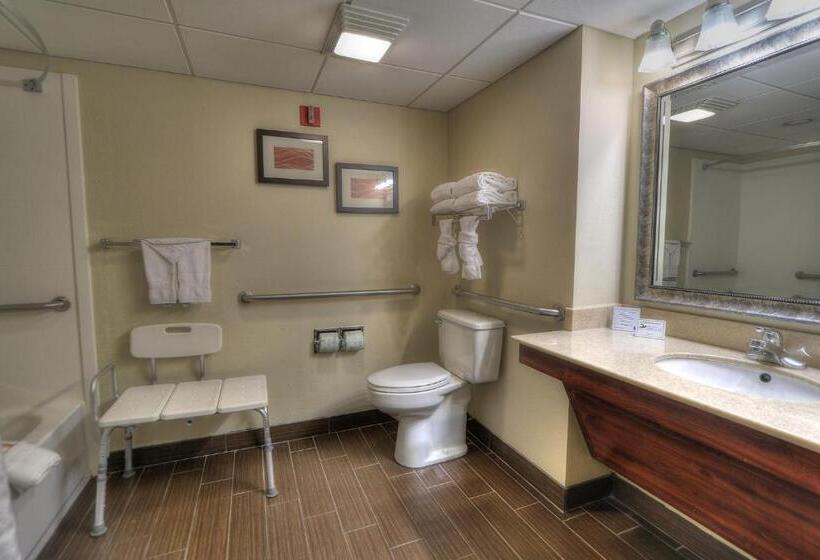 带大床的标准间, Comfort Inn & Suites At Dollywood Lane