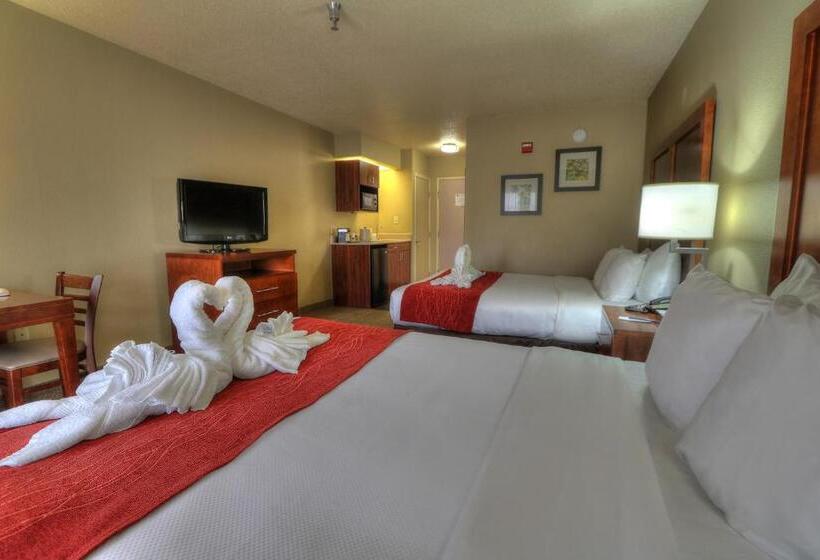 带2个双人床的标准工作室, Comfort Inn & Suites At Dollywood Lane