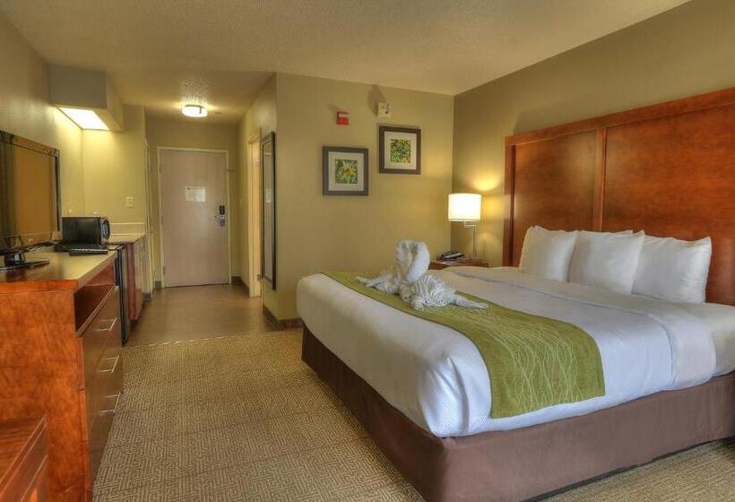 适合残疾人士使用的带超级大床的标准间, Comfort Inn & Suites At Dollywood Lane